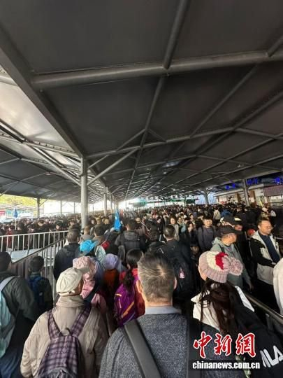 2025年11月13日，黄山风景区人气十足。　纪凡梅 摄