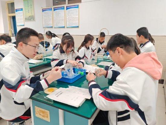 11月13日,在延庆区第四中学的化学课上,学生们正在利用操作台上的实验器材自主设计实验。学校供图