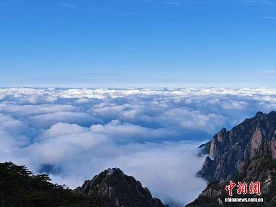 2025年11月12日，安徽黄山云海一景。　林波 摄