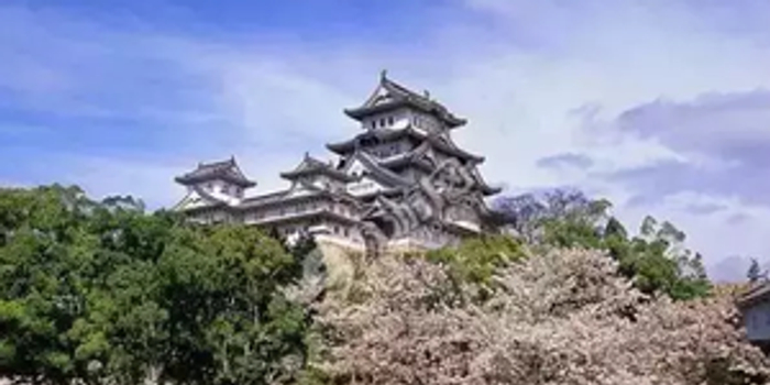 武大艺术类专业招生简章发布