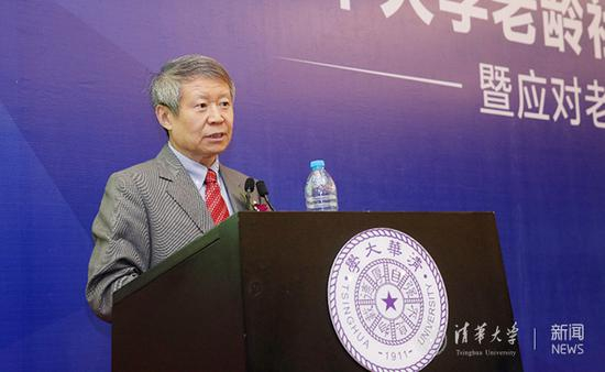 清华大学李强教授发表演讲。