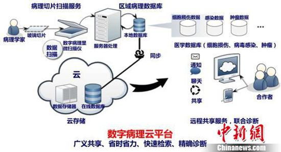 数字病理云平台示意图。