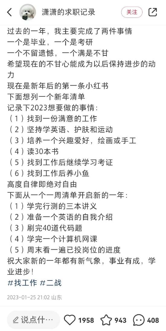 潇潇在社交媒体上分享的新年计划。