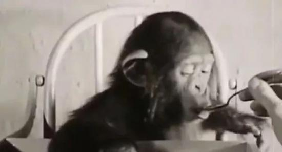 给5岁的儿子写个简历 竟然给了我一记暴击