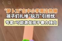 时评:莫忽视学生扎堆玩“萝卜刀”的安全隐患