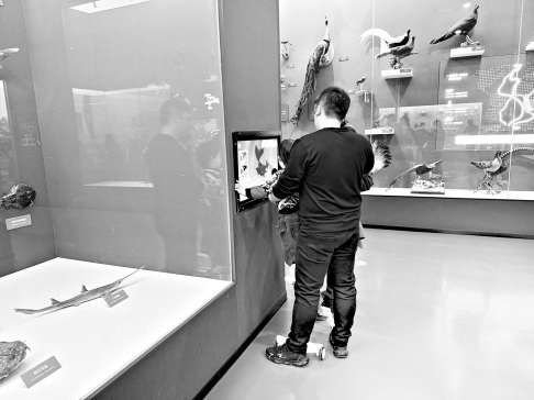 在国家自然博物馆，家长托举着孩子使用互动屏。