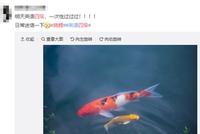 四六级考试神吐槽集锦:很满意 12月还会再来