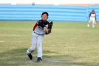 中国家长的焦虑:"幼小衔接"与"零基础"上小学之争