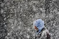 美国多地遭逢雪灾学校停课 洛杉矶时隔57年首次降雪