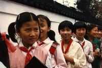 消肿不了的大校额?小学一年级班级超过20个