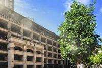 2019全国普通高校学科竞赛排行榜发布 哈工大位列榜首