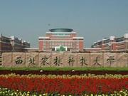 2020中国三线城市最好大学排名 西农林第一