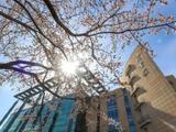 媒体披露：吉林大学考古学科在第五轮学科评估中获评A+
