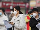部分本科停招 专升本供需如何实现平衡