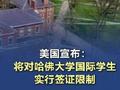 美国宣布:将对哈佛大学国际学生实行签证限制