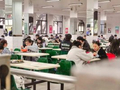 全国中小学食堂“互联网+明厨亮灶”覆盖率达98.5%