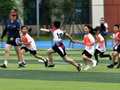 明年底中小学全面普及“三大球”