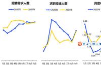 青年失业率明显回落 909万毕业生将涌向哪里?