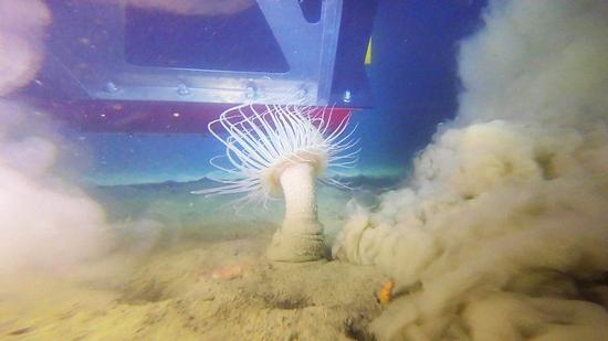 [图片来源：Getty Images]