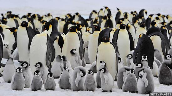 [图片来源：Getty Images]