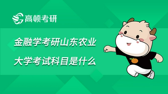 高顿考研