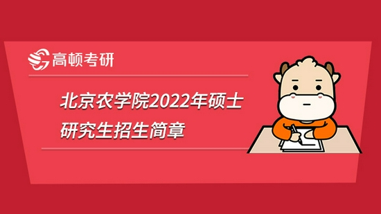 高顿考研