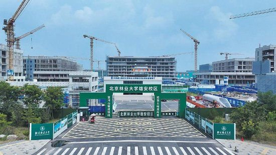 北京林业大学雄安校区以“无界植物园”理念打造生态校园。