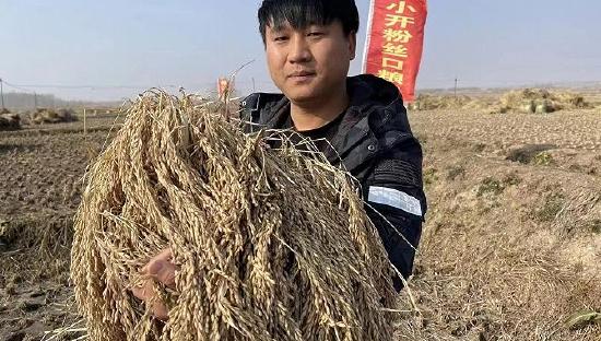 图为卢小开
