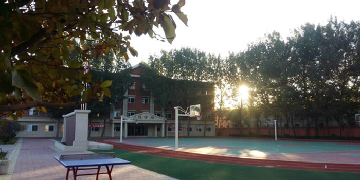 国际学校:北京新桥外国语高中学校2018招生简