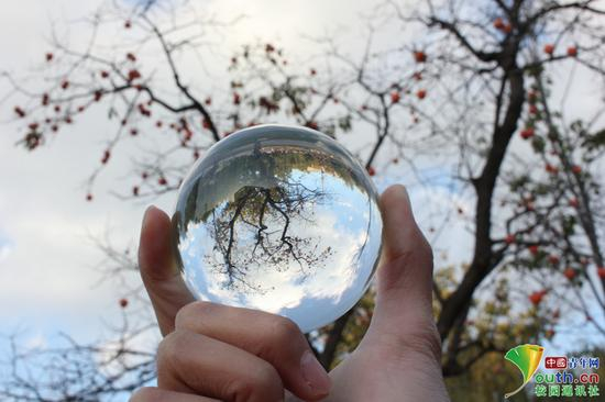 中国中青网通讯员 崔希荣 提供