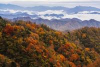 国内自驾天堂 秋色仅维持20多天现在去正好