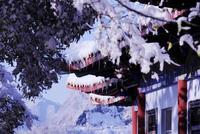 王一博宋茜联名安利的千年古都 初雪直接美上了热搜