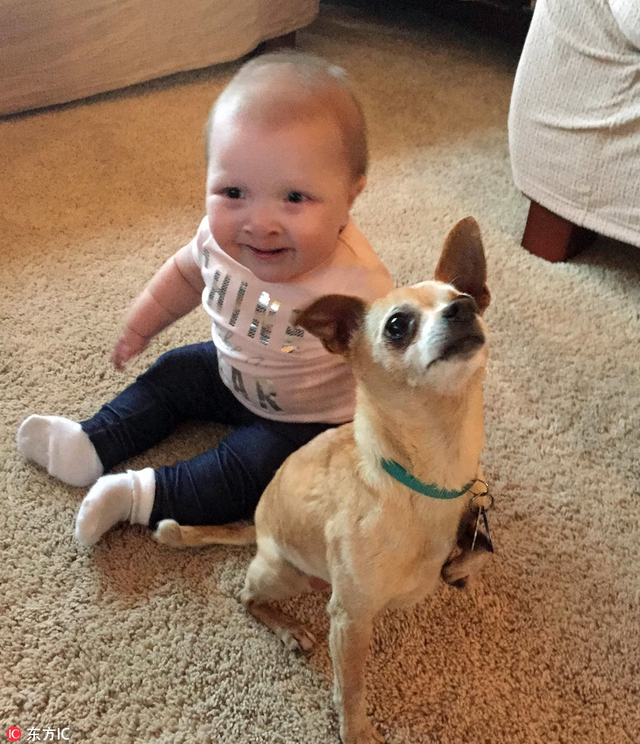 动物陪萌娃一起长大的美好瞬间