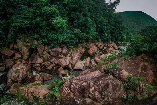 小红书@大大的蓝水