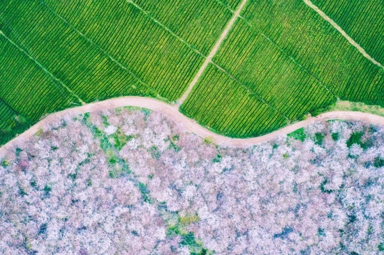 @feekr合作方