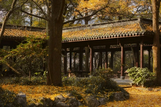 @图虫创意