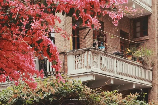  小红书@纽约摄影师May小粥 / Miuuuuuuu