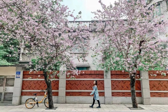 东山口 小红书@纽约摄影师May小粥