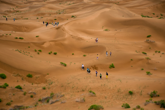 小飞君实拍@晨星