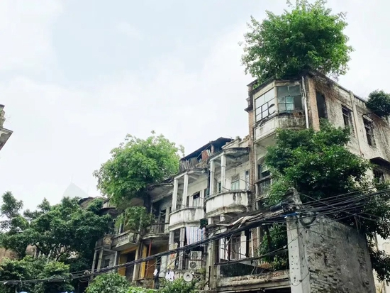 小红书@西瓜 猫