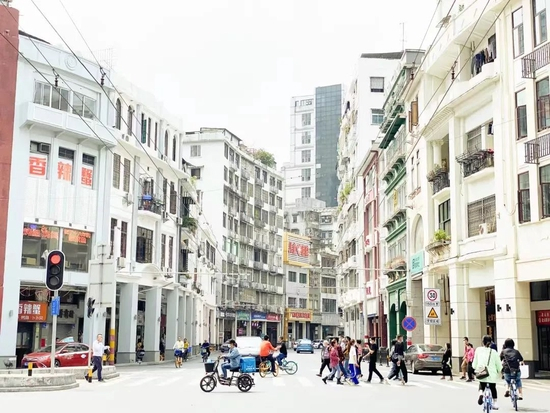  小红书@西瓜 猫