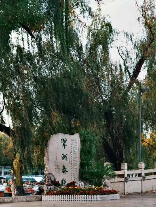 小红书@Pepsi 
