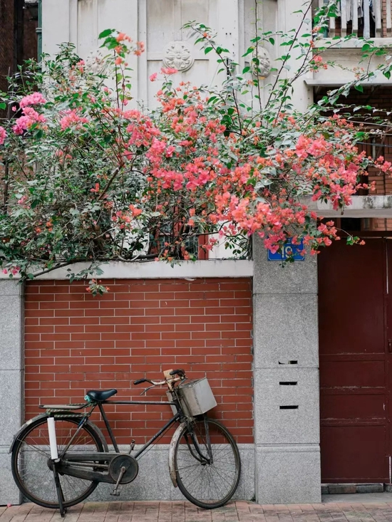 小红书@纽约摄影师May小粥