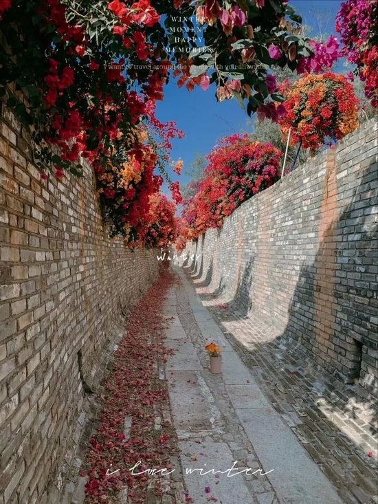  小红书@姐姐&妹妹