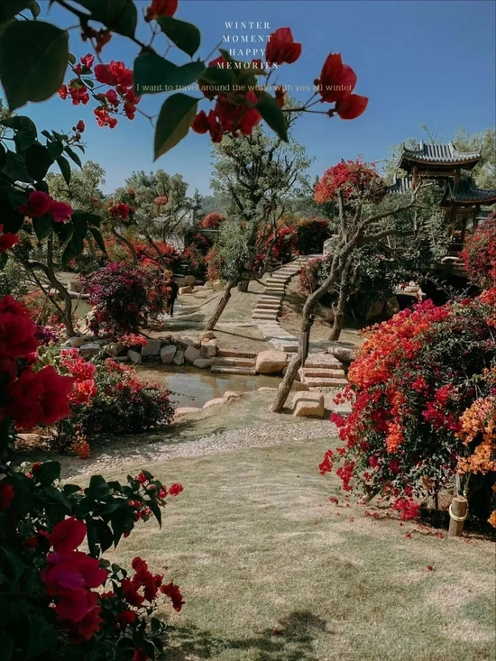 小红书@姐姐&妹妹