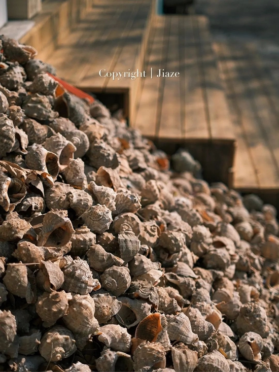 小红书@李家泽_