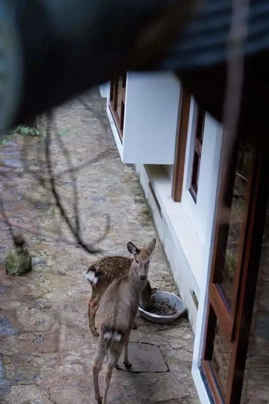 @田田