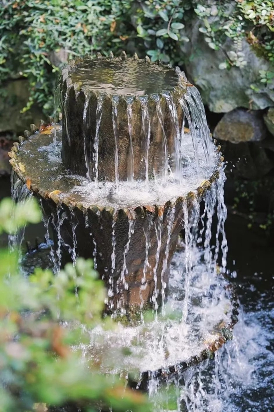 小红书@Jinni Yellow