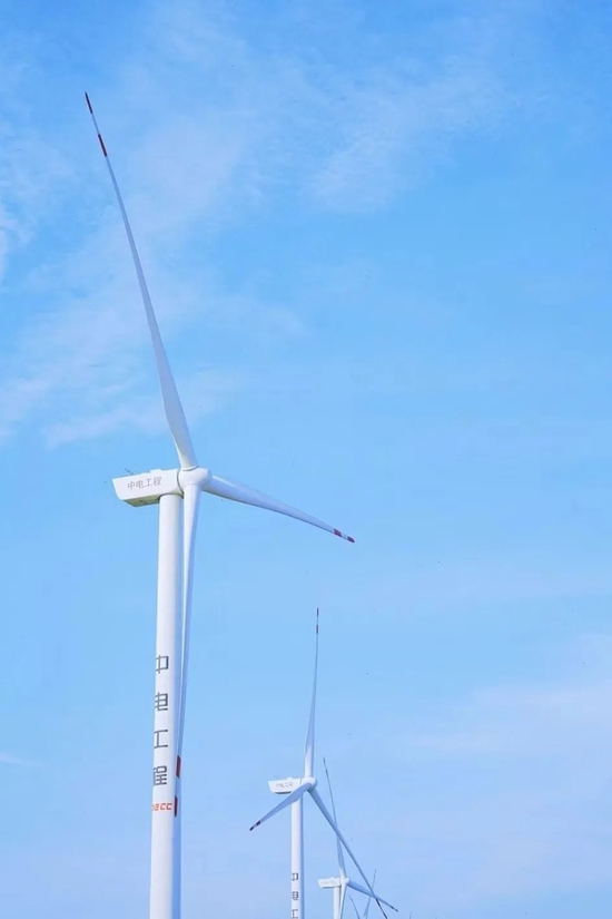 小红书@Jinni Yellow