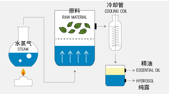 图源：dogsnaturallymagazine@RitaHogan